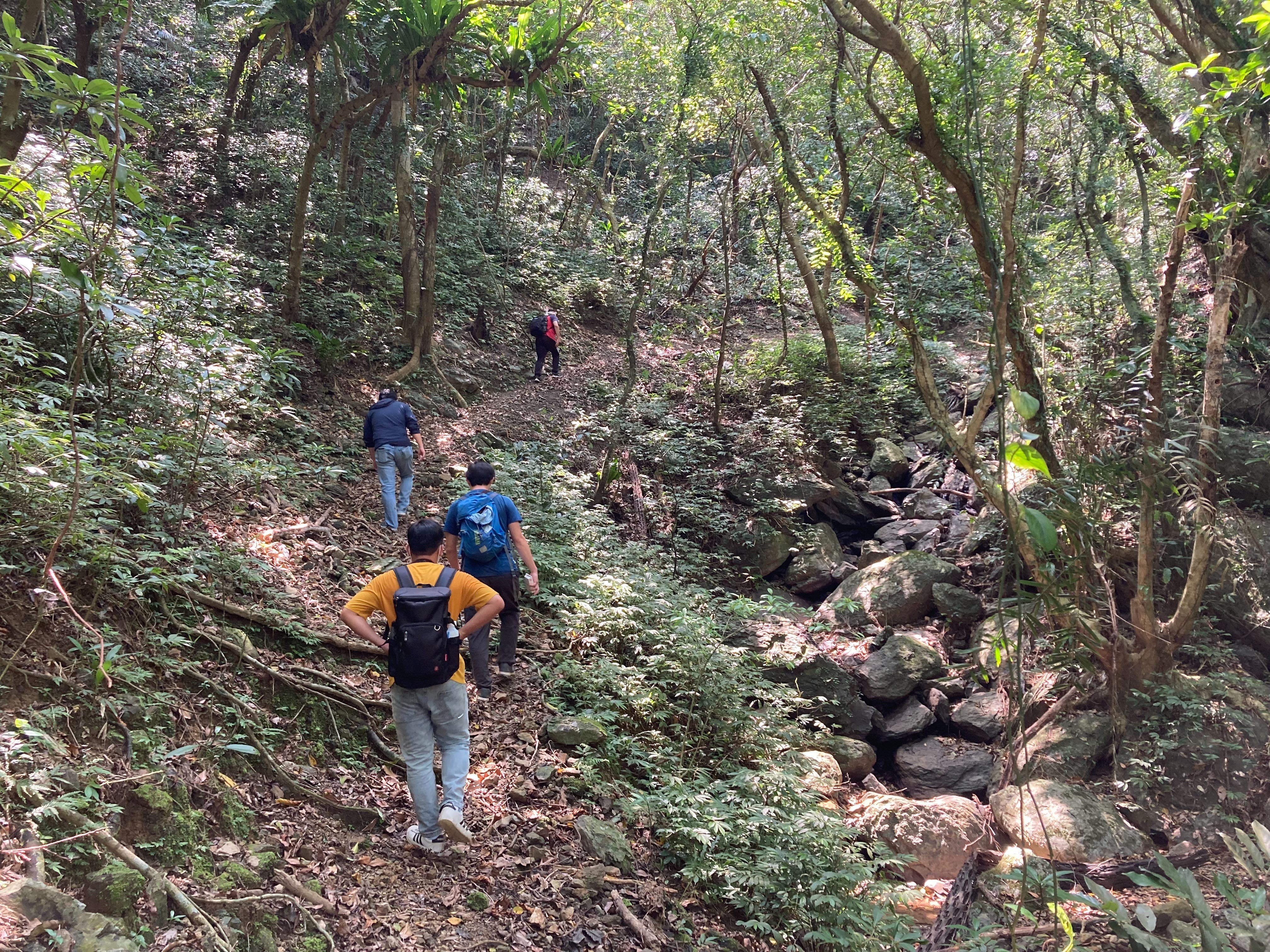 梗枋合興古道山徑形象圖