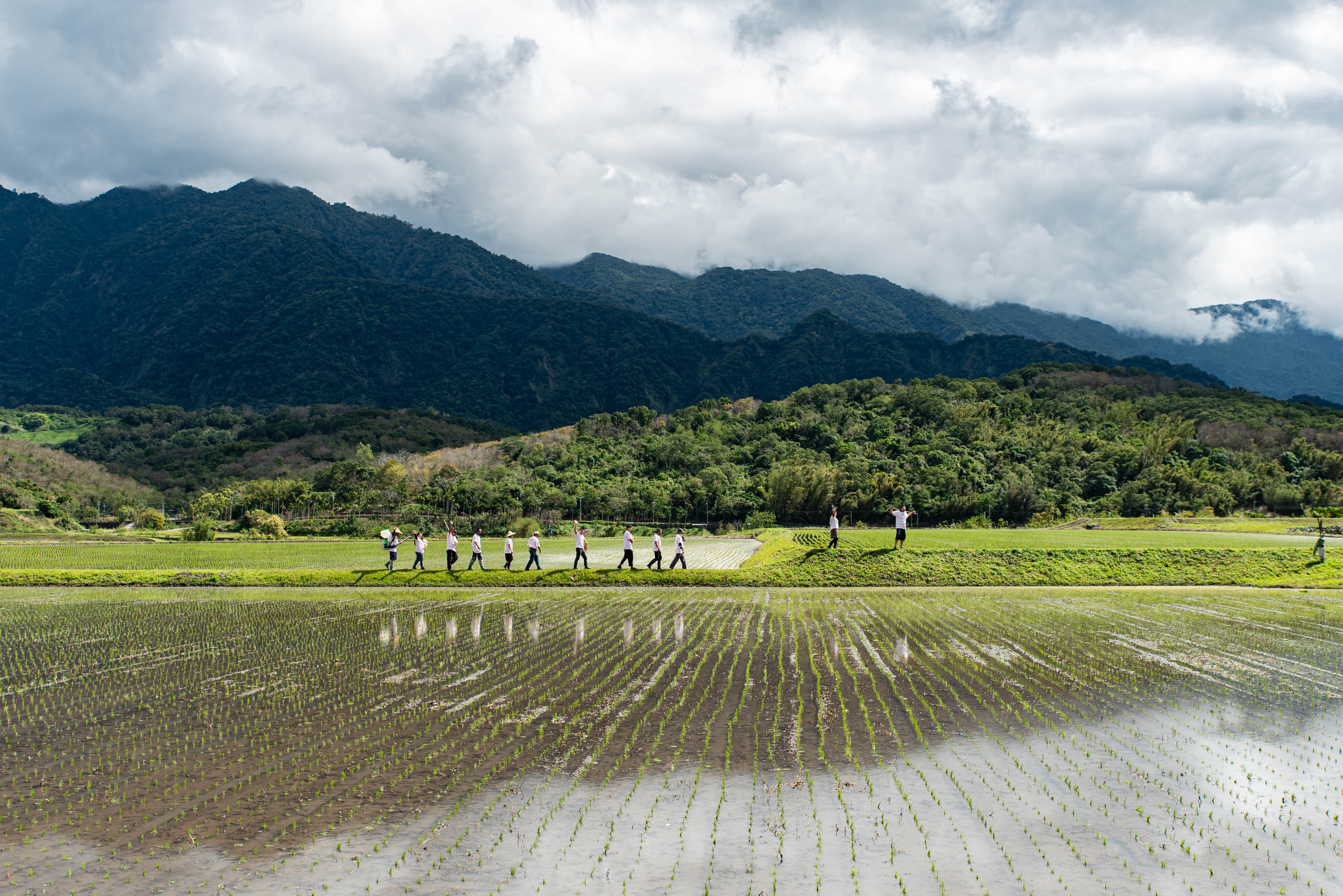 DSC_8035形象圖